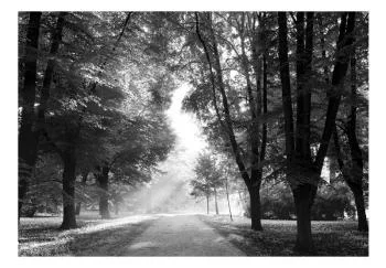 Fototapeta wodoodporna - Ścieżka wspomnień - obrazek 2