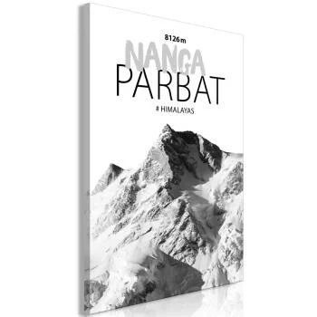 Obraz - Nanga Parbat (1-cześciowy) pionowy - obrazek 2