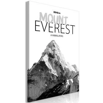 Obraz - Mount Everest (1-częściowy) pionowy - obrazek 2