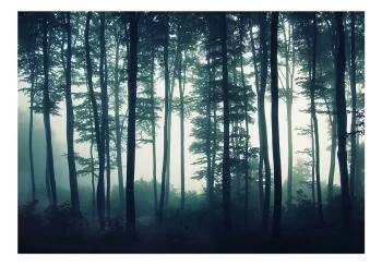 Fototapeta wodoodporna - Mroczny las - obrazek 2