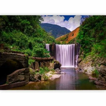 Fototapeta - Reggae Falls - obrazek 5