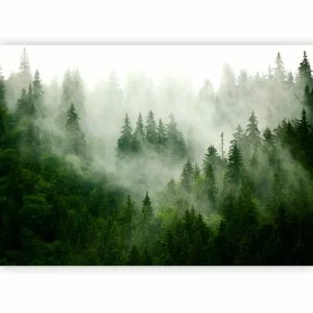 Fototapeta - Górski las (zielony) - obrazek 5