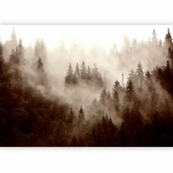 Fototapeta - Górski las (sepia) - obrazek 5