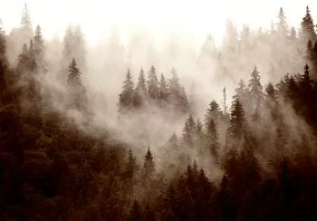 Fototapeta - Górski las (sepia) - obrazek 6