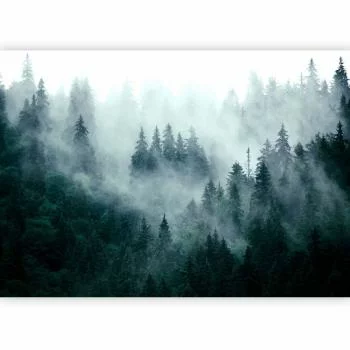 Fototapeta - Górski las (ciemny zielony) - obrazek 5
