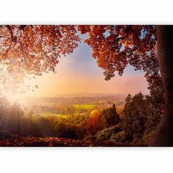 Fototapeta - Jesienny zachwyt - obrazek 5