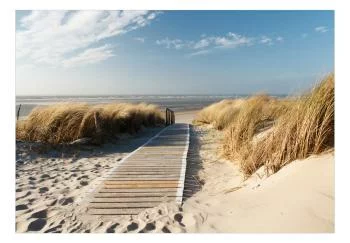 Fototapeta - Samotna plaża - obrazek 2