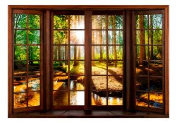 Fototapeta - Leśny taras - obrazek 2