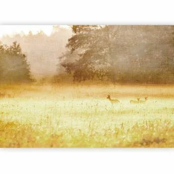Fototapeta - Poranna rosa - obrazek 5