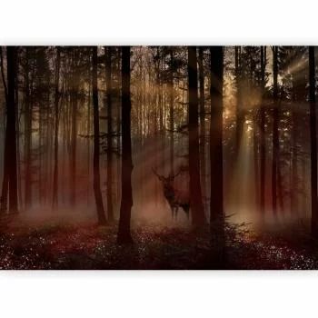 Fototapeta - Mistyczny las - pierwszy wariant - obrazek 5