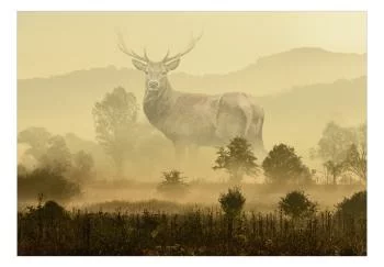 Fototapeta wodoodporna - Senne wyobrażenie - obrazek 2