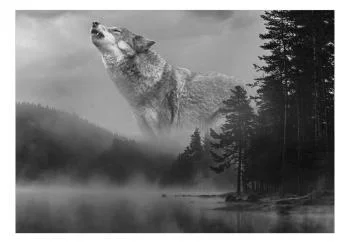 Fototapeta wodoodporna - Leśne tajemnice - obrazek 2