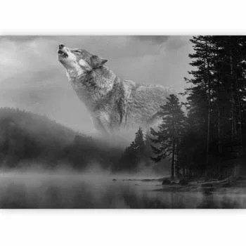 Fototapeta - Leśne tajemnice - obrazek 5