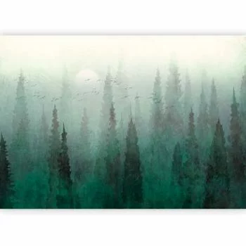 Fototapeta - Przelot nad lasem - pierwszy wariant - obrazek 5