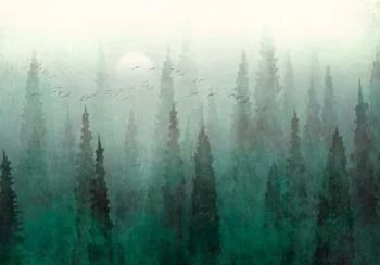 Fototapeta - Przelot nad lasem - pierwszy wariant - obrazek 6