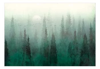 Fototapeta wodoodporna - Perspektywa lotu ptaka - krajobraz zielonego lasu z drzewami we mgle - obrazek 2