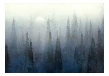 Fototapeta - Przelot nad lasem - drugi wariant - obrazek 2