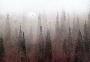 Fototapeta - Przelot nad lasem - trzeci wariant - obrazek 6