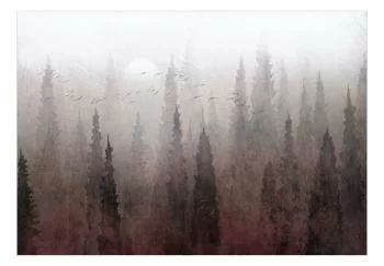 Fototapeta - Przelot nad lasem - trzeci wariant - obrazek 2