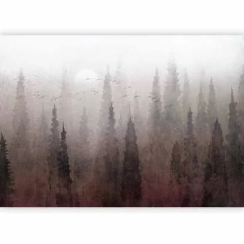 Fototapeta - Przelot nad lasem - trzeci wariant - obrazek 5