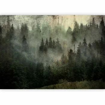 Fototapeta - Mgliste piękno lasu - obrazek 2