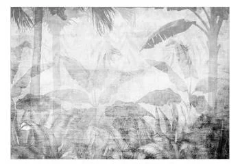 Fototapeta wodoodporna - Znikająca dżungla - pejzaż egzotycznych drzew i liści w szarych tonach - obrazek 2
