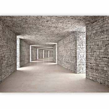 Fototapeta - Tajemniczy tunel - obrazek 5