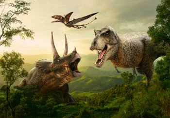 Fototapeta - Dinozaurowy plac - obrazek 6