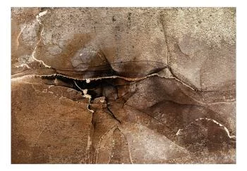 Fototapeta wodoodporna - Skalna abstrakcja - brązowobeżowy deseń w stylu pękniętego kamienia - obrazek 2