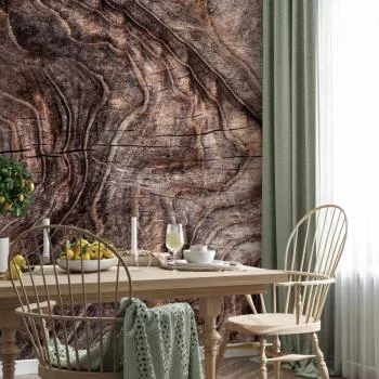 Fototapeta - Znaki czasu - abstrakcyjne tło z pomarszczoną korą starego drzewa - obrazek 6