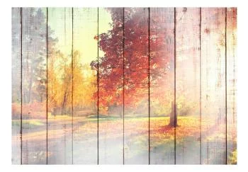 Fototapeta wodoodporna - Jesienne słońce - obrazek 2
