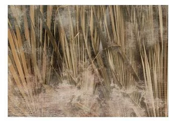 Fototapeta wodoodporna - Suche liście - pejzaż wysokich traw w stylu boho z deseniami z farby - obrazek 2
