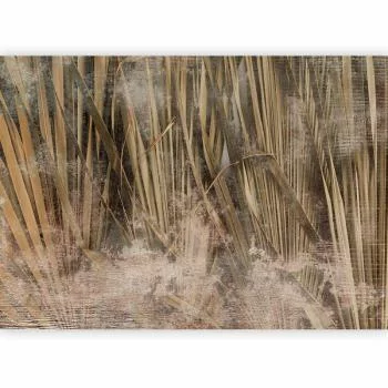 Fototapeta - Natura Boho - obrazek 5