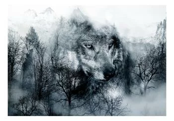 Fototapeta wodoodporna - Drapieżnik z gór (czarno-biały) - obrazek 2