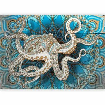 Fototapeta - Ośmiornica zen - obrazek 5