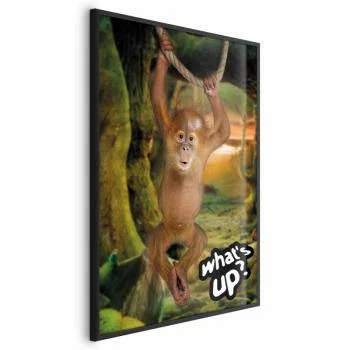 Plakat - What\'s Up?