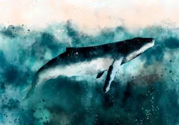 Fototapeta - Podwodne życie - obrazek 6