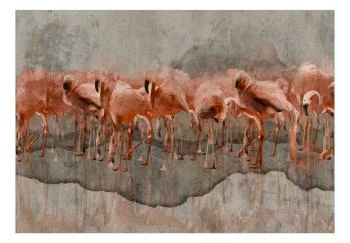 Fototapeta wodoodporna - Egzotyczne ptaki - różowe flamingi z cieniem na szarym betonowym tle - obrazek 2