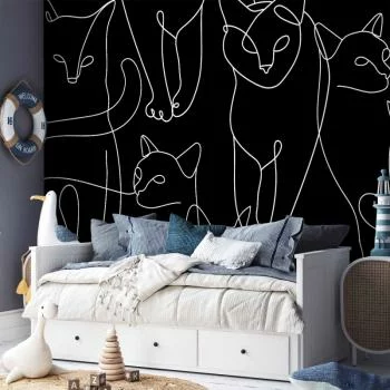 Fototapeta - Kocie zwyczaje - pierwszy wariant - obrazek 5