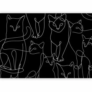 Fototapeta - Kocie zwyczaje - pierwszy wariant - obrazek 2