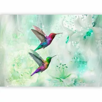 Fototapeta - Kolorowe kolibry (zielony) - obrazek 5