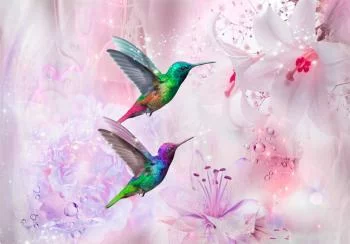 Fototapeta - Kolorowe kolibry (fioletowy) - obrazek 6