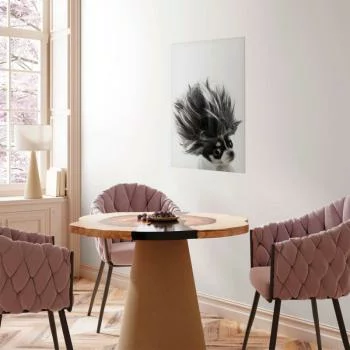 Plakat - Chihuahua - obrazek 5