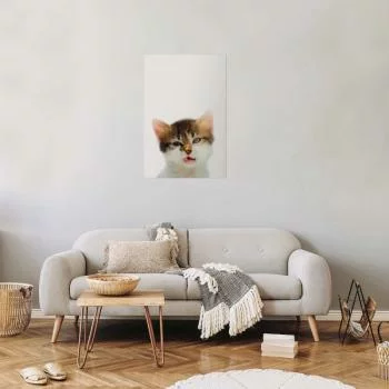 Plakat - Zirytowany kot - obrazek 2