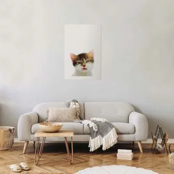 Plakat - Zirytowany kot - obrazek 2
