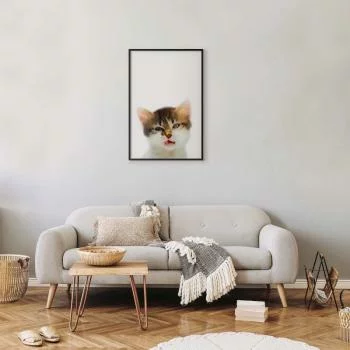 Plakat - Zirytowany kot - obrazek 2