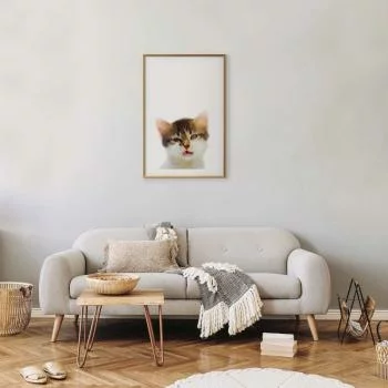 Plakat - Zirytowany kot - obrazek 2
