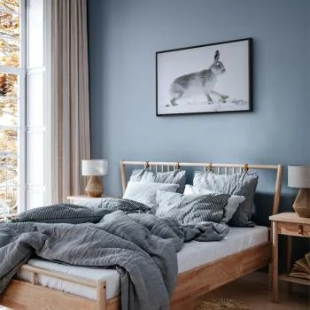 Obraz - Zając (1-częściowy) szeroki - obrazek 6