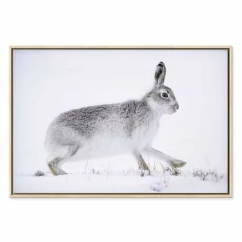 Obraz - Zając (1-częściowy) szeroki - obrazek 2