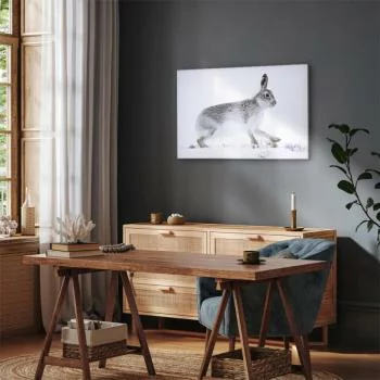 Obraz - Zając (1-częściowy) szeroki - obrazek 7